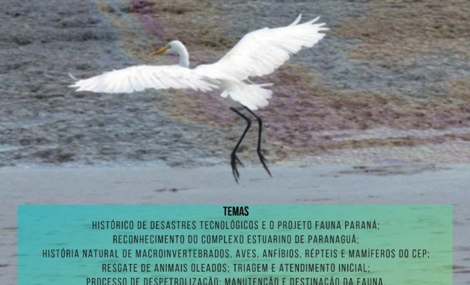 Portos do Paraná oferece curso de despetrolização da fauna. Foto: Divulgação FUNESPAR