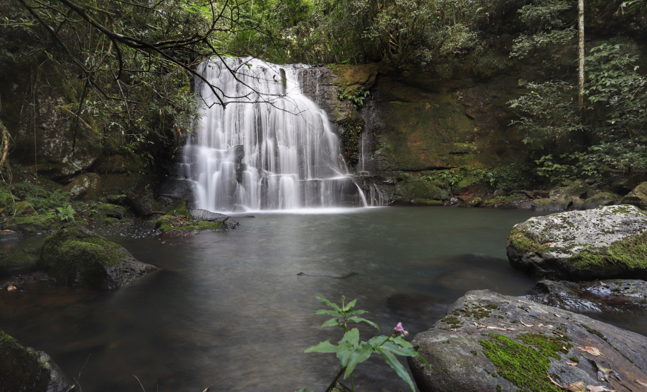 04/2019 - Capanema - Trilha da Taquara. Foto: José Fernando Ogura
