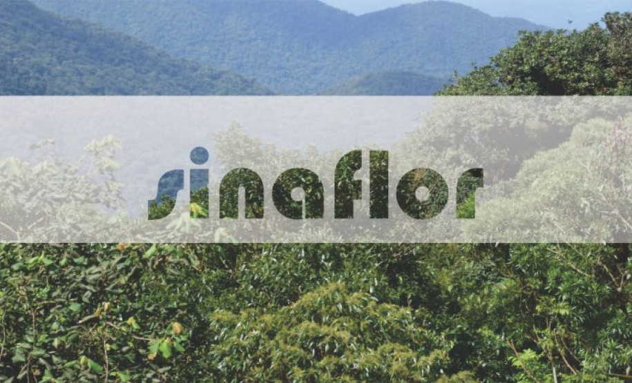 Paraná se destaca no uso de sistema para gestão de florestas. Foto:Divulgação/SEDEST