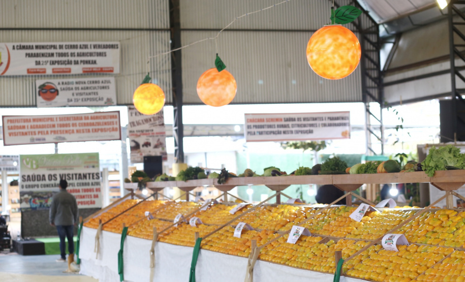 O Instituto Agronômico do Paraná (Iapar) e a Secretaria de Estado da Agricultura e do Abastecimento lançaram neste domingo (14) em Cerro Azul, na Região Metropolitana de Curitiba, durante a Festa Nacional da Poncã, o projeto de um viveiro de mudas que permitirá prolongar a oferta da fruta fora da estação fria do ano. Foto: Gilson Abreu/ANPr