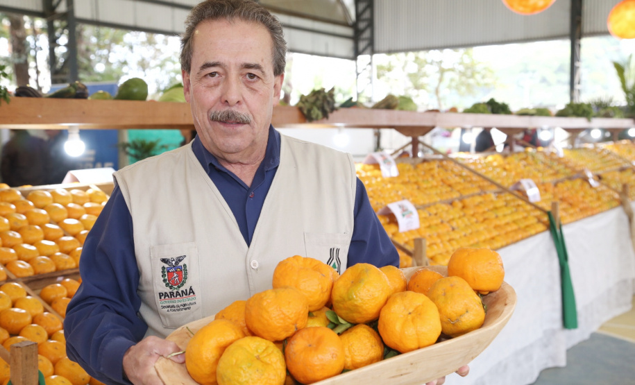 O Instituto Agronômico do Paraná (Iapar) e a Secretaria de Estado da Agricultura e do Abastecimento lançaram neste domingo (14) em Cerro Azul, na Região Metropolitana de Curitiba, durante a Festa Nacional da Poncã, o projeto de um viveiro de mudas que permitirá prolongar a oferta da fruta fora da estação fria do ano. Foto: Gilson Abreu/ANPr