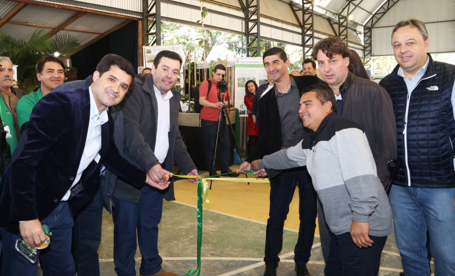 O Instituto Agronômico do Paraná (Iapar) e a Secretaria de Estado da Agricultura e do Abastecimento lançaram neste domingo (14) em Cerro Azul, na Região Metropolitana de Curitiba, durante a Festa Nacional da Poncã, o projeto de um viveiro de mudas que permitirá prolongar a oferta da fruta fora da estação fria do ano. Foto: Gilson Abreu/ANPr