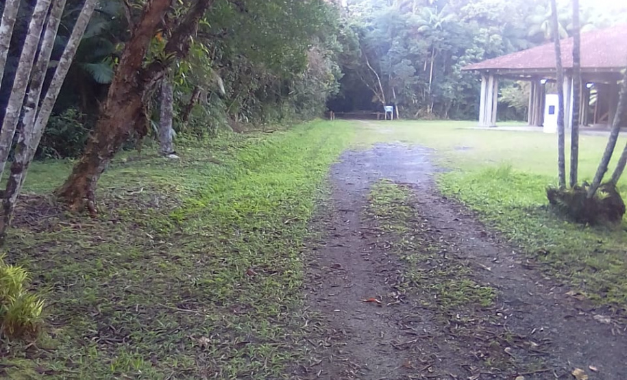 Parque Estadual do Palmito. Foto: Divulgação/IAP