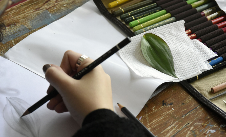 Alfredo Andersen abre inscrições para cursos no segundo semestre. Foto: Kraw Pennas/SECC