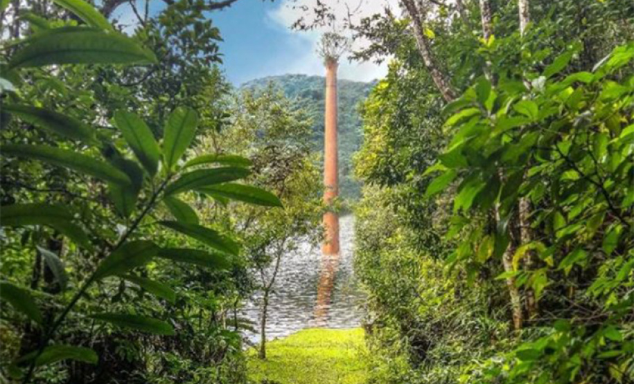 Mananciais da Serra estarão abertos no próximo domingo. Foto: Sanepar