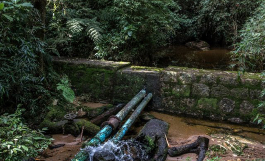Mananciais da Serra estarão abertos no próximo domingo. Foto: Sanepar