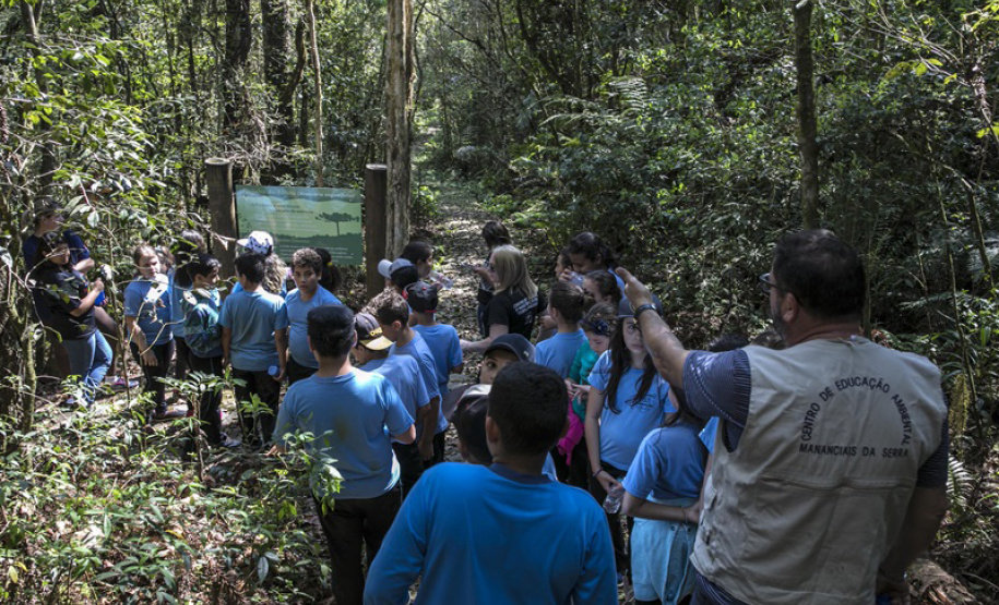 Os Mananciais da Serra, unidade de conservação mantida pela Companhia de Saneamento do Paraná (Sanepar), estarão abertos neste domingo (21), dentro da campanha Um Dia no Parque, promovida pela Rede Nacional Pró-Unidades de Conservação. Foto: Sanepar