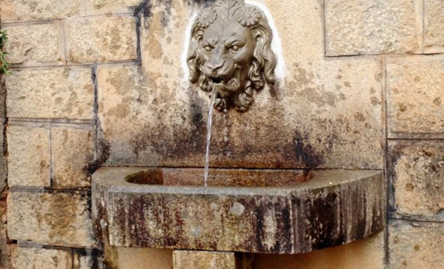 Mananciais da Serra estarão abertos no próximo domingo. Foto: Sanepar