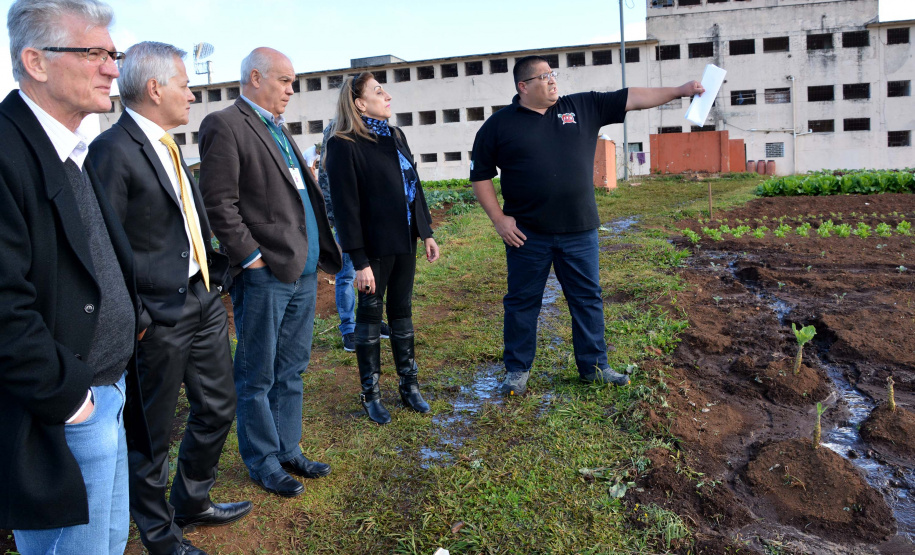Presos da Penitenciária Central do Estado - Unidade de Progressão (PCE-UP), localizada em Piraquara, na Região Metropolitana de Curitiba, trabalham no plantio de hortaliças e verduras orgânicas produzidas no terreno da unidade penal. Nesta quinta-feira (18), o secretário de Estado da Agricultura e Abastecimento, Norberto Anacleto Ortigara, conheceu a iniciativa, que pode ser ampliada para outras regiões do Estado. Foto: Divulgação/SEAB
