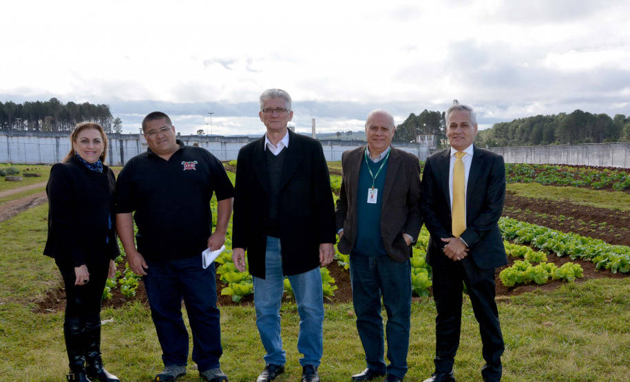 Presos da Penitenciária Central do Estado - Unidade de Progressão (PCE-UP), localizada em Piraquara, na Região Metropolitana de Curitiba, trabalham no plantio de hortaliças e verduras orgânicas produzidas no terreno da unidade penal. Nesta quinta-feira (18), o secretário de Estado da Agricultura e Abastecimento, Norberto Anacleto Ortigara, conheceu a iniciativa, que pode ser ampliada para outras regiões do Estado. Foto: Divulgação/SEAB