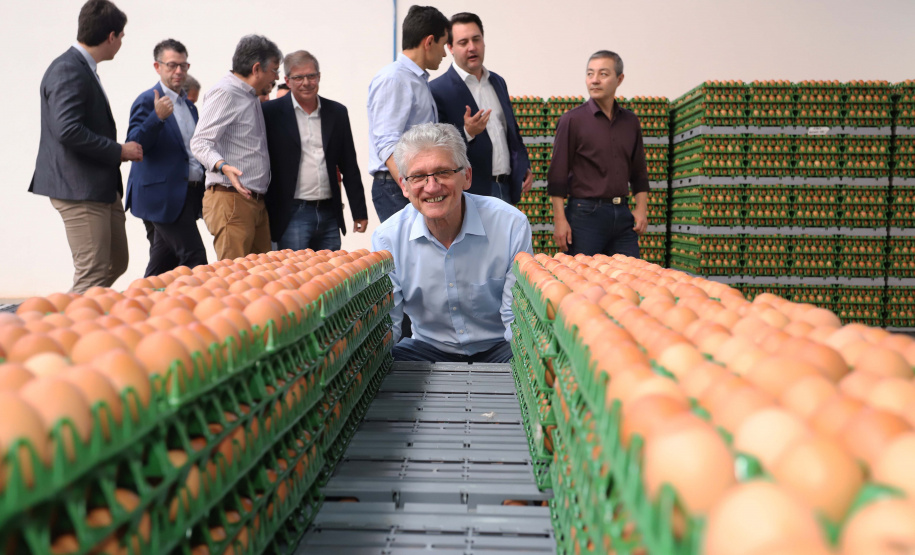 O governador Carlos Massa Ratinho Junior participou nesta terça-feira (23), em Cascavel, do evento de certificação SISBI (Sistema Brasileiro de Inspeção de Produtos de Origem Animal) para a Granja Refem, que desenvolve um projeto pioneiro no Estado de produção de ovos a partir da criação de galinhas sem gaiola. Na foto, o secretário da Agricultura, Norberto Ortigara.Cascavel, 23-07-19.Foto: Arnaldo Alves / ANPr.