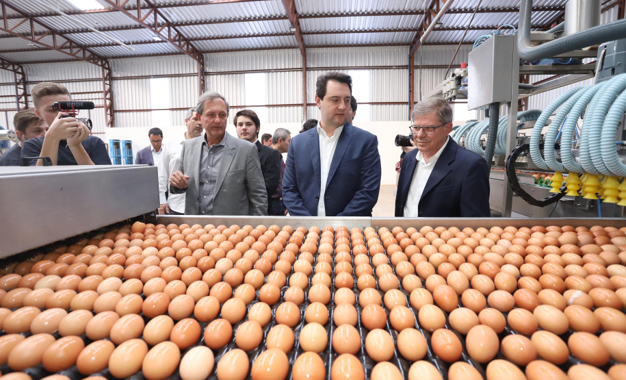 O governador Carlos Massa Ratinho Junior participou nesta terça-feira (23), em Cascavel, do evento de certificação SISBI (Sistema Brasileiro de Inspeção de Produtos de Origem Animal) para a Granja Refem, que desenvolve um projeto pioneiro no Estado de produção de ovos a partir da criação de galinhas sem gaiola. Foto: Arnaldo Alves / ANPr.