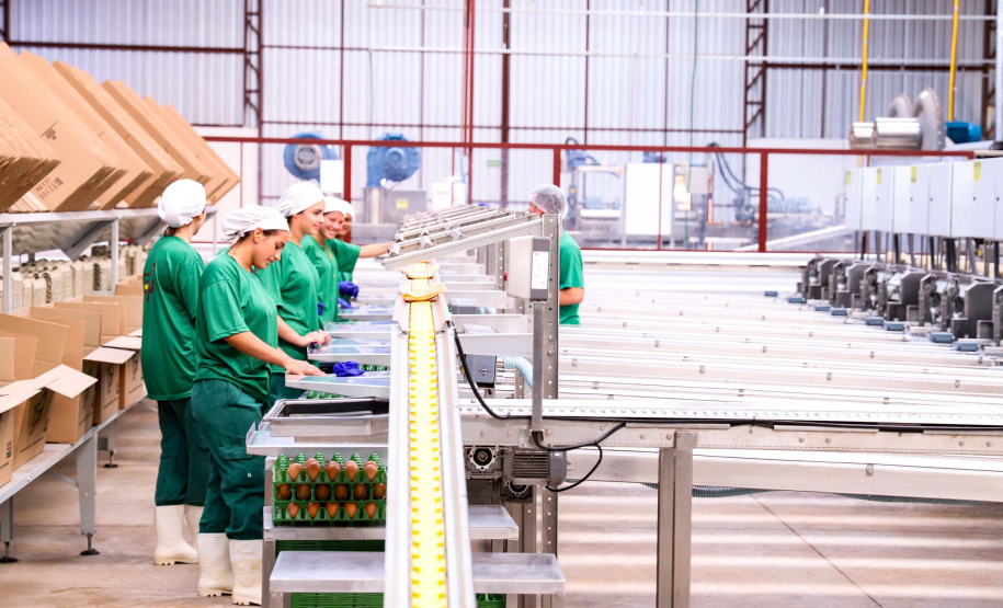 O governador Carlos Massa Ratinho Junior participou nesta terça-feira (23), em Cascavel, do evento de certificação SISBI (Sistema Brasileiro de Inspeção de Produtos de Origem Animal) para a Granja Refem, que desenvolve um projeto pioneiro no Estado de produção de ovos a partir da criação de galinhas sem gaiola.. Foto: Rodrigo Felix Leal/ANPr