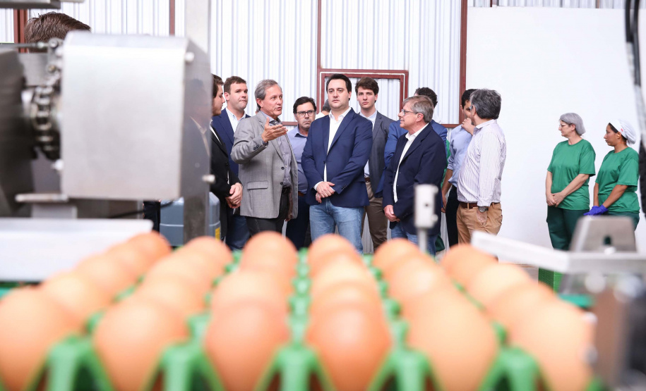 O governador Carlos Massa Ratinho Junior participou nesta terça-feira (23), em Cascavel, do evento de certificação SISBI (Sistema Brasileiro de Inspeção de Produtos de Origem Animal) para a Granja Refem, que desenvolve um projeto pioneiro no Estado de produção de ovos a partir da criação de galinhas sem gaiola. Foto: Rodrigo Felix Leal/ANPr