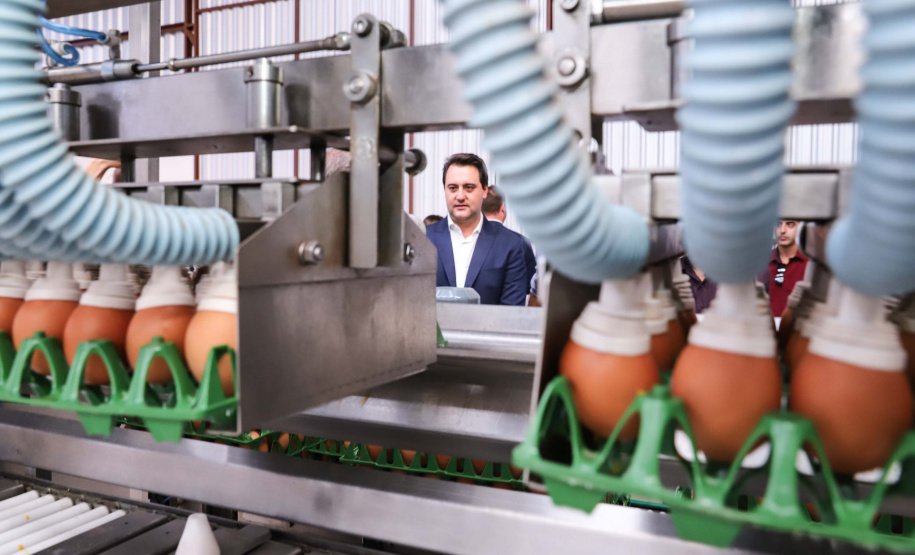 O governador Carlos Massa Ratinho Junior participou nesta terça-feira (23), em Cascavel, do evento de certificação SISBI (Sistema Brasileiro de Inspeção de Produtos de Origem Animal) para a Granja Refem, que desenvolve um projeto pioneiro no Estado de produção de ovos a partir da criação de galinhas sem gaiola. Foto: Rodrigo Felix Leal/ANPr