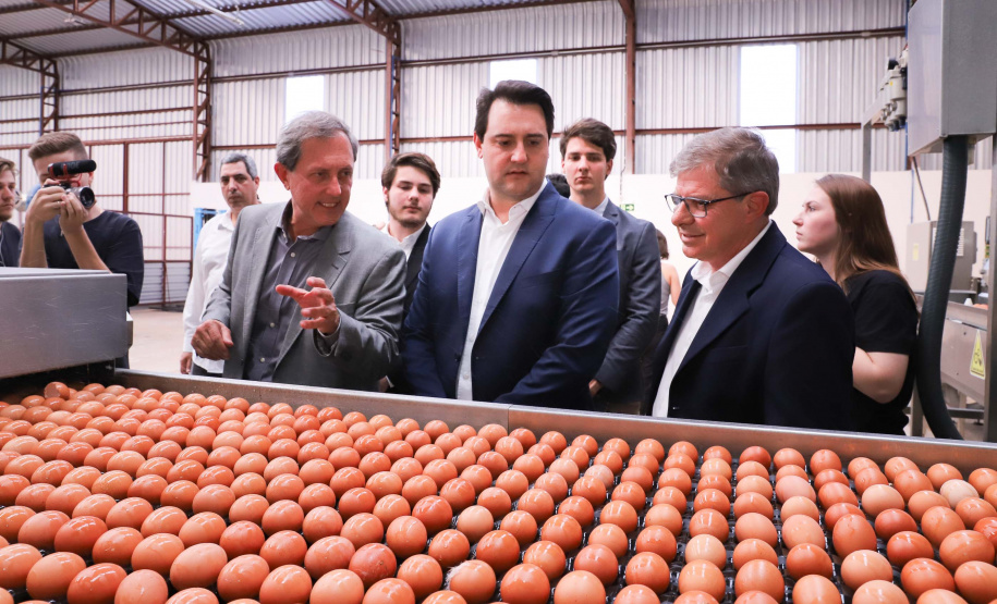 O governador Carlos Massa Ratinho Junior participou nesta terça-feira (23), em Cascavel, do evento de certificação SISBI (Sistema Brasileiro de Inspeção de Produtos de Origem Animal) para a Granja Refem, que desenvolve um projeto pioneiro no Estado de produção de ovos a partir da criação de galinhas sem gaiola. Foto: Rodrigo Felix Leal/ANPr