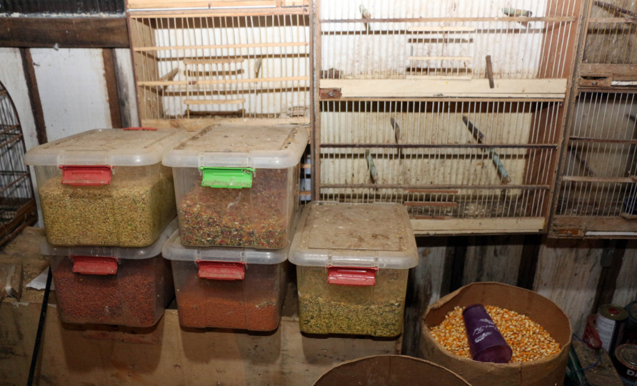 Uma operação da Polícia Militar iniciada nesta terça-feira (24) com o objetivo de combater o tráfico e o comércio de aves silvestres cumpriu mandados de prisão em Curitiba, Almirante Tamandaré, Campo Largo, Fazenda Rio Grande, Piraquara, Colombo e Cerro Azul. Foto: Soldado Ismael Ponchio