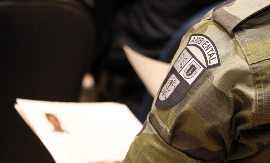 Uma operação da Polícia Militar iniciada nesta terça-feira (24) com o objetivo de combater o tráfico e o comércio de aves silvestres cumpriu mandados de prisão em Curitiba, Almirante Tamandaré, Campo Largo, Fazenda Rio Grande, Piraquara, Colombo e Cerro Azul. Foto: Soldado Ismael Ponchio