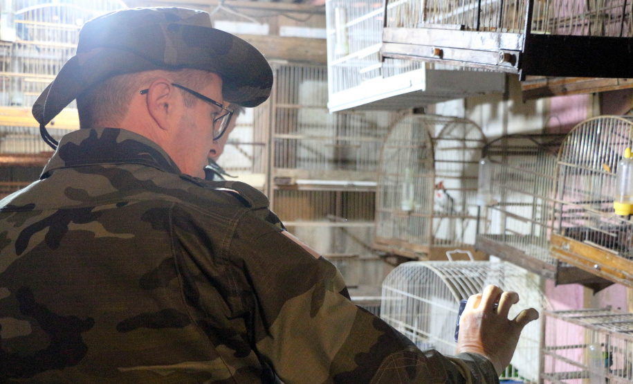 Uma operação da Polícia Militar iniciada nesta terça-feira (24) com o objetivo de combater o tráfico e o comércio de aves silvestres cumpriu mandados de prisão em Curitiba, Almirante Tamandaré, Campo Largo, Fazenda Rio Grande, Piraquara, Colombo e Cerro Azul. Foto: Soldado Ismael Ponchio