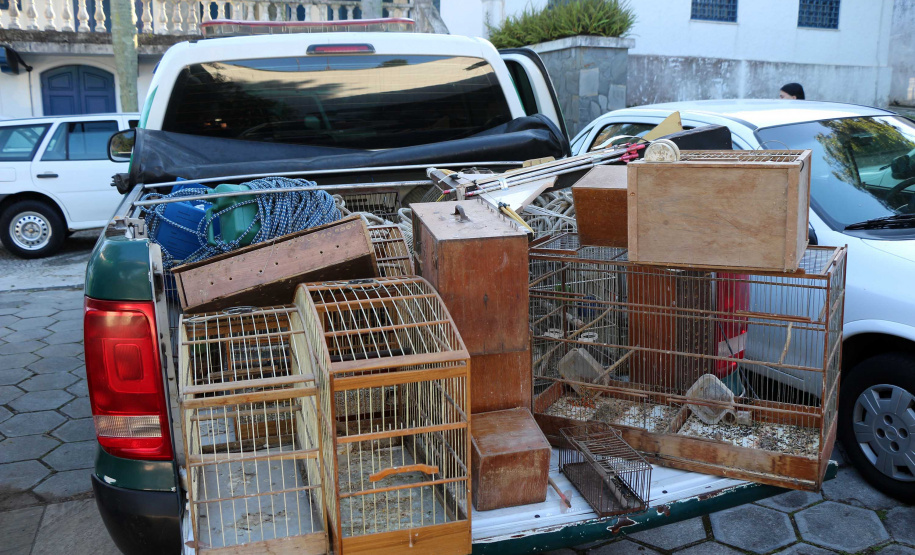 Uma operação da Polícia Militar iniciada nesta terça-feira (24) com o objetivo de combater o tráfico e o comércio de aves silvestres cumpriu mandados de prisão em Curitiba, Almirante Tamandaré, Campo Largo, Fazenda Rio Grande, Piraquara, Colombo e Cerro Azul. Foto: Soldado Ismael Ponchio