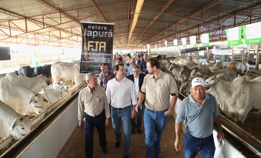 Governador Carlos Massa Ratinho Junior visita o 5º Show Pecuário de Cascavel. 23/07/2019. Foto: José Fernando Ogura/ANPr