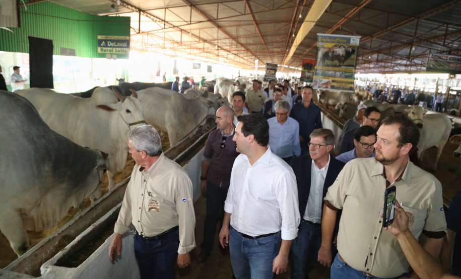 Governador Carlos Massa Ratinho Junior visita o 5º Show Pecuário de Cascavel. 23/07/2019. Foto: José Fernando Ogura/ANPr
