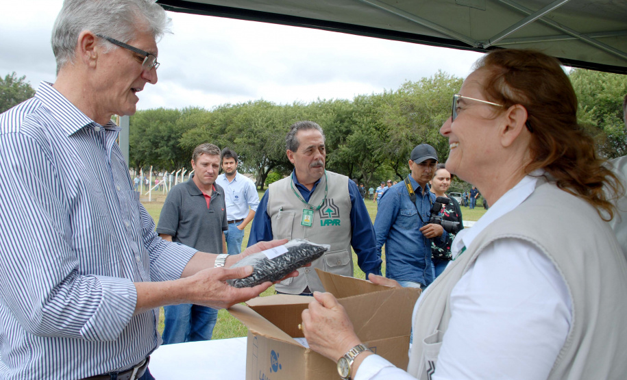A pesquisadora Vania Moda Cirino, do Instituto Agronômico do Paraná (Iapar), recebe neste domingo (28) o Prêmio Destaque Feminino em Melhoramento de Plantas em Águas de Lindoia, São Paulo.  Foto: Divulgação/Iapar