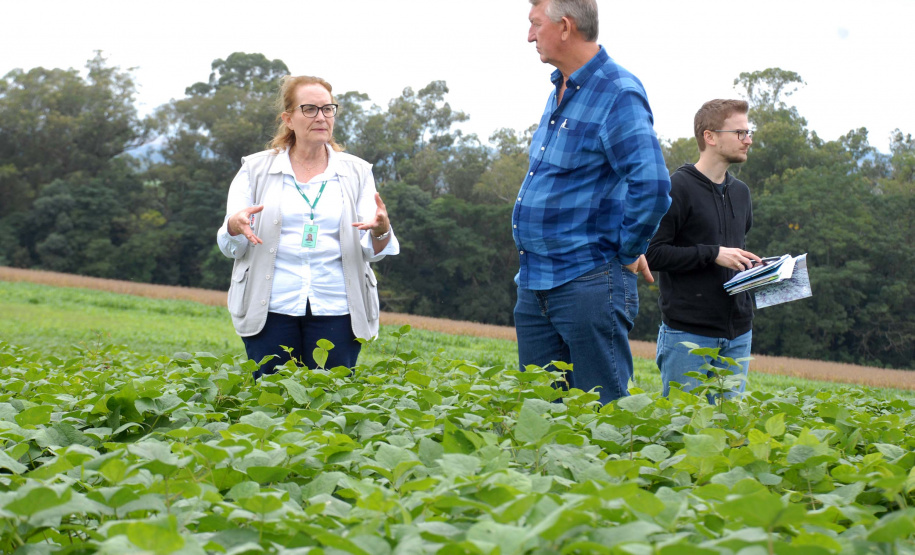 A pesquisadora Vania Moda Cirino, do Instituto Agronômico do Paraná (Iapar), recebe neste domingo (28) o Prêmio Destaque Feminino em Melhoramento de Plantas em Águas de Lindoia, São Paulo.  Foto: Divulgação/Iapar