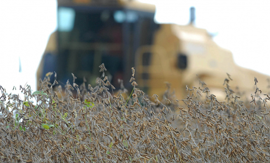 Colheita de soja. Foto Jonas Oliveira/Arquivo-ANPr