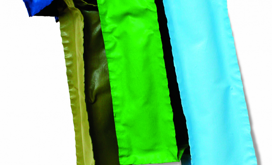 O Espaço Cultural BRDE - Palacete dos Leões, em Curitiba, inaugura nesta quinta-feira (25) a exposição Pinturas Vazias - Paolo Ridolfi. Com curadoria de Mariana von Hartenthal, a mostra abre o calendário de mostras contempladas no Edital de Artes Visuais 2019-2020. O público pode conferir até 23 de agosto e a entrada é gratuita.
Penca fria, 2014 . Foto: Divulgação/BRDE