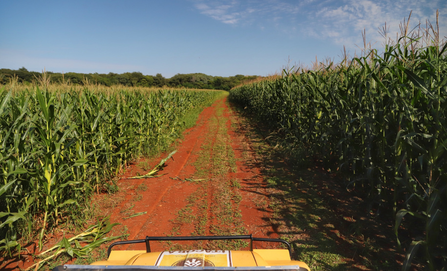 Itaipulândia. Foto: José Fernando Ogura/ANPr
