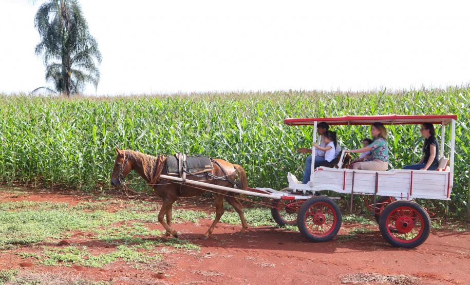 Itaipulândia. Foto: José Fernando Ogura/ANPr