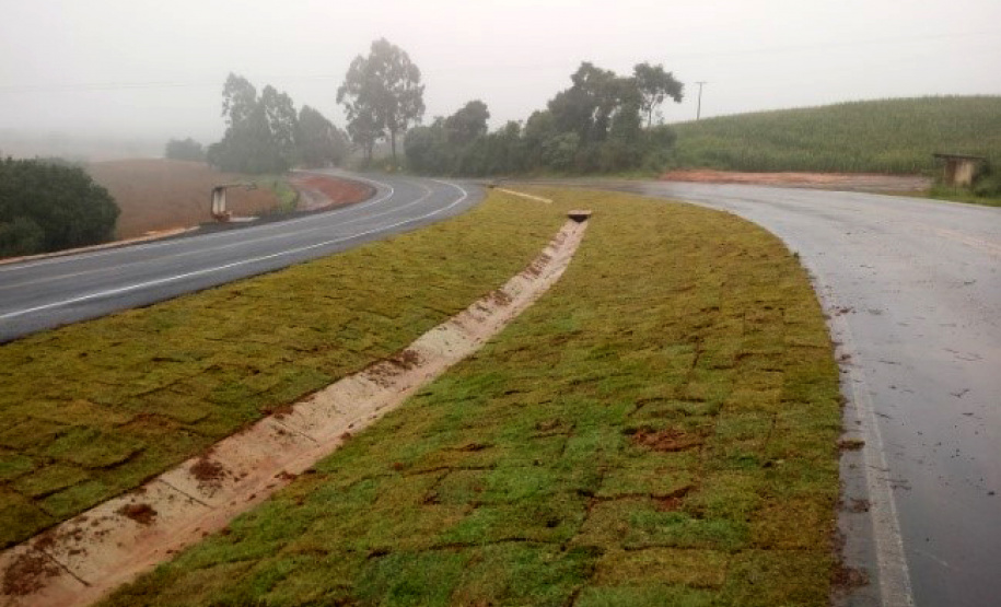 PR-441. Foto: Divulgação/DER