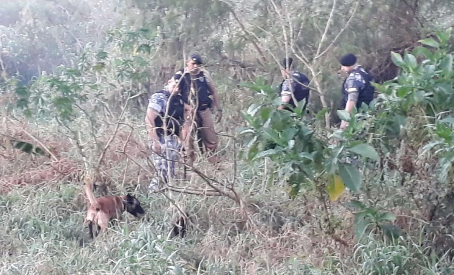 PM realiza operação contra facções criminosas em 40 cidades. Foto:PMPR