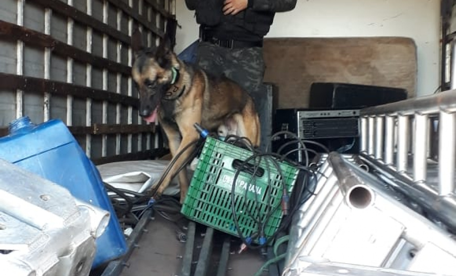 A Polícia Civil do Paraná (PCPR), o Ministério Público e a Polícia Militar iniciaram uma operação contra associação criminosa envolvida com o tráfico de drogas nas cidades de Ubiratã, Juranda e Campina da Lagoa. Policiais estão nas ruas desde as primeiras horas da manhã desta quinta-feira (1) para cumprir 80 mandados judiciais. Foto: Divulgação/PCPR