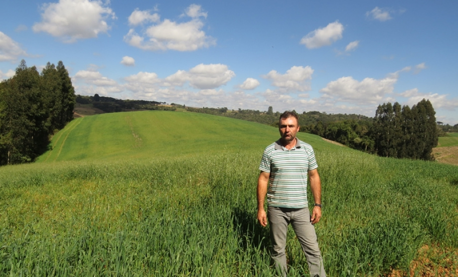 Marcos Czaja, com aveia de cobertura plantada na sucessão do milho que recebeu lodo em 2018.Foto: Divulgação/Sanepar