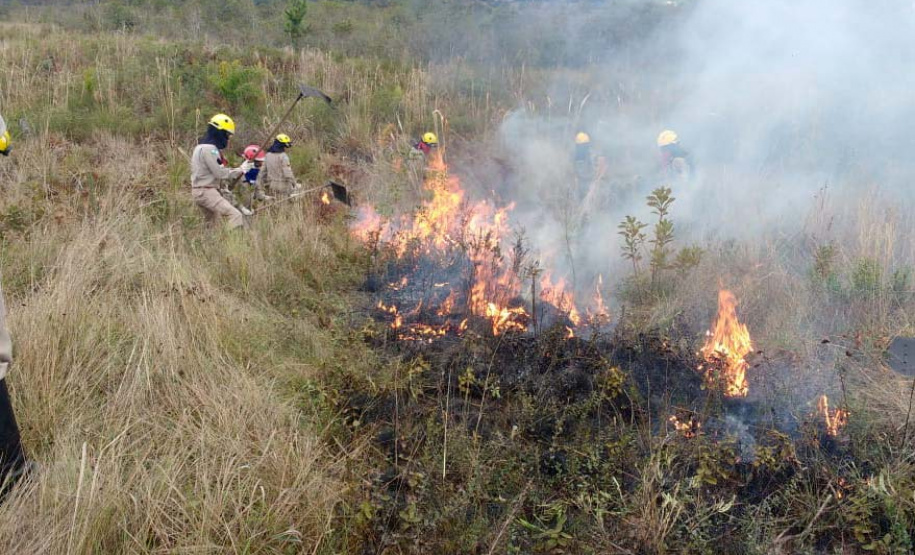O Instituto Ambiental do Paraná (IAP), em parceria com o Corpo de Bombeiros, brigada de incêndio do Parque Estadual de Vila Velha e a Universidade Positivo promoveram nessa terça-feira (6) uma queima controlada na vegetação do Parque de Vila Velha. Foram 20 hectares de queima.Foto: Divulgação/IAP