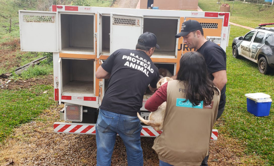 A Polícia Civil do Paraná (PCPR) cumpriu 11 mandados de busca e apreensão nesta terça-feira (13) em endereços ligados a uma rede de pet shops. Sócios e funcionários da empresa são suspeitos por maus-tratos a animais, estelionato e falsificação de documentos privados. Foto: Divulgação/Polícia Civil