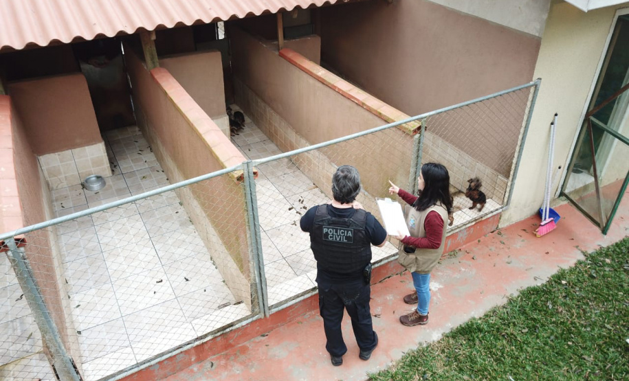 A Polícia Civil do Paraná (PCPR) cumpriu 11 mandados de busca e apreensão nesta terça-feira (13) em endereços ligados a uma rede de pet shops. Sócios e funcionários da empresa são suspeitos por maus-tratos a animais, estelionato e falsificação de documentos privados. Foto: Divulgação/Polícia Civil