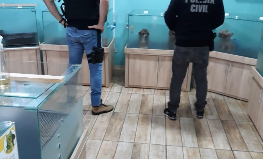A Polícia Civil do Paraná (PCPR) cumpriu 11 mandados de busca e apreensão nesta terça-feira (13) em endereços ligados a uma rede de pet shops. Sócios e funcionários da empresa são suspeitos por maus-tratos a animais, estelionato e falsificação de documentos privados. Foto: Divulgação/Polícia Civil