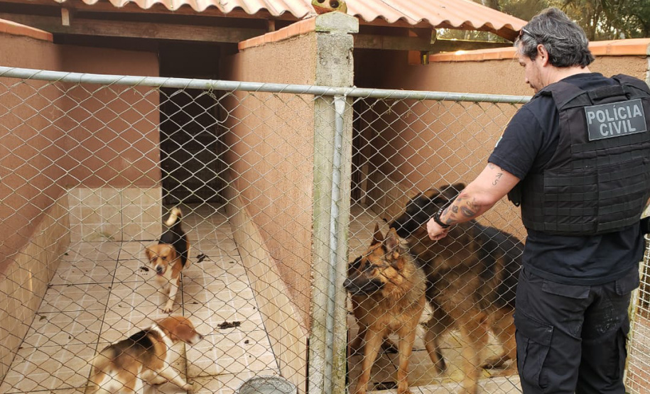 A Polícia Civil do Paraná (PCPR) cumpriu 11 mandados de busca e apreensão nesta terça-feira (13) em endereços ligados a uma rede de pet shops. Sócios e funcionários da empresa são suspeitos por maus-tratos a animais, estelionato e falsificação de documentos privados. Foto: Divulgação/Polícia Civil