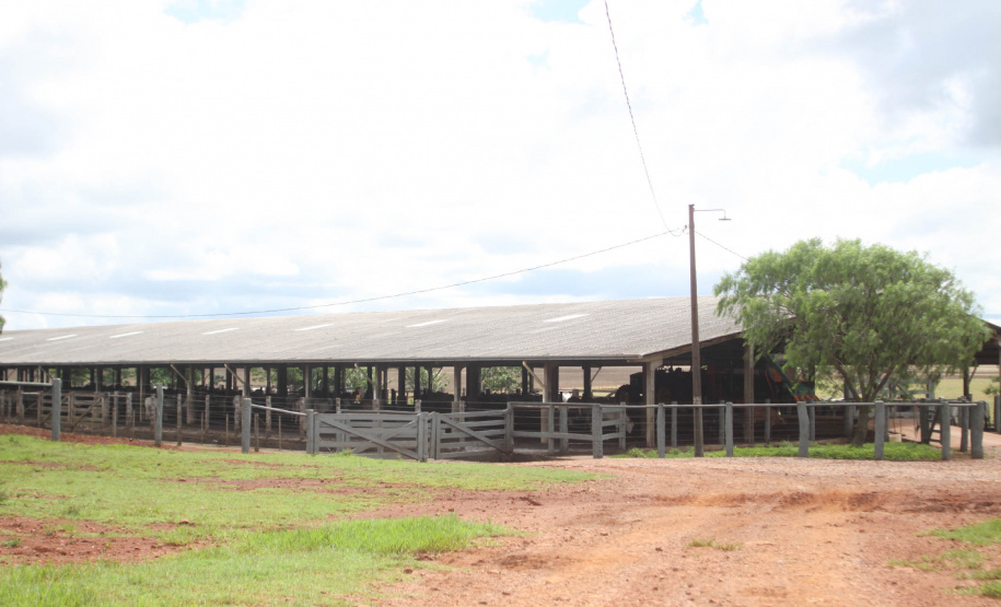A Secretaria de Estado do Desenvolvimento Sustentável e do Turismo fez mudanças nas resoluções de liberação e validade de licenças, a fim de desburocratizar o processo de licenciamento ambiental nas áreas de avicultura, bovinocultura, suinocultura, agrotóxico, aquicultura e maricultura e postos de combustíveis. Foto: Arquivo/AEN