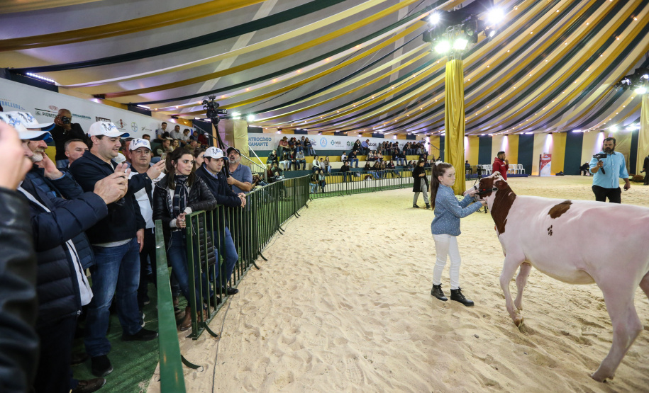 O governador Carlos Massa Ratinho Junior visita nesta quinta-feira (15), a Agroleite, realizado pela Cooperativa Castrolanda, em Castro, nos Campos Gerais. Considerado um dos maiores eventos da cadeia do leite na América, a Agroleite tem foco na tecnologia, produtividade e melhores resultados para os produtores. Castro, 15/08/2019 -  Foto: Geraldo Bubniak/AEN