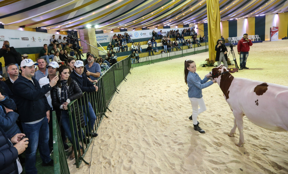 O governador Carlos Massa Ratinho Junior visita nesta quinta-feira (15), a Agroleite, realizado pela Cooperativa Castrolanda, em Castro, nos Campos Gerais. Considerado um dos maiores eventos da cadeia do leite na América, a Agroleite tem foco na tecnologia, produtividade e melhores resultados para os produtores. Castro, 15/08/2019 -  Foto: Geraldo Bubniak/AEN