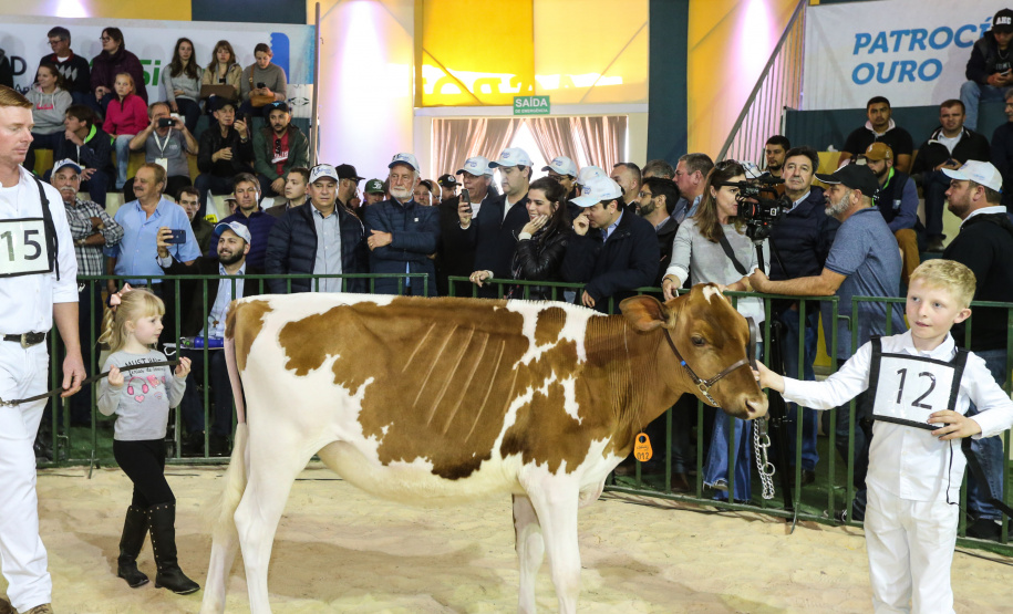 O governador Carlos Massa Ratinho Junior visita nesta quinta-feira (15), a Agroleite, realizado pela Cooperativa Castrolanda, em Castro, nos Campos Gerais. Considerado um dos maiores eventos da cadeia do leite na América, a Agroleite tem foco na tecnologia, produtividade e melhores resultados para os produtores. Castro, 15/08/2019 -  Foto: Geraldo Bubniak/AEN