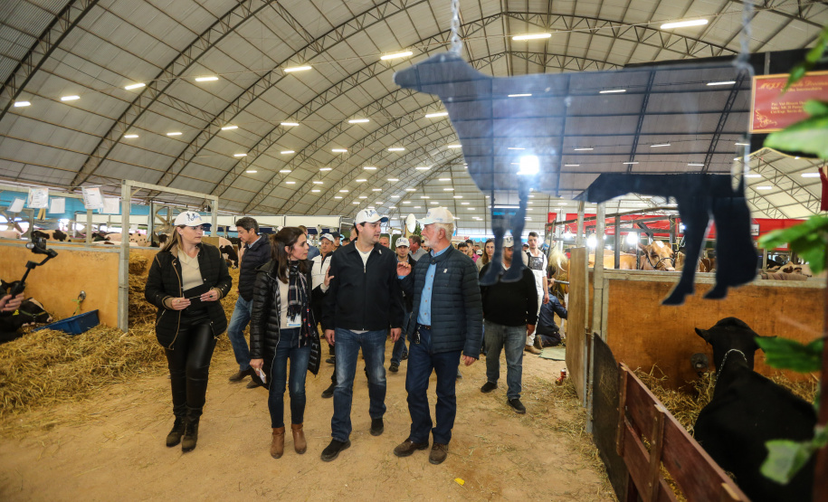 O governador Carlos Massa Ratinho Junior visita nesta quinta-feira (15), a Agroleite, realizado pela Cooperativa Castrolanda, em Castro, nos Campos Gerais. Considerado um dos maiores eventos da cadeia do leite na América, a Agroleite tem foco na tecnologia, produtividade e melhores resultados para os produtores. Castro, 15/08/2019 -  Foto: Geraldo Bubniak/AEN