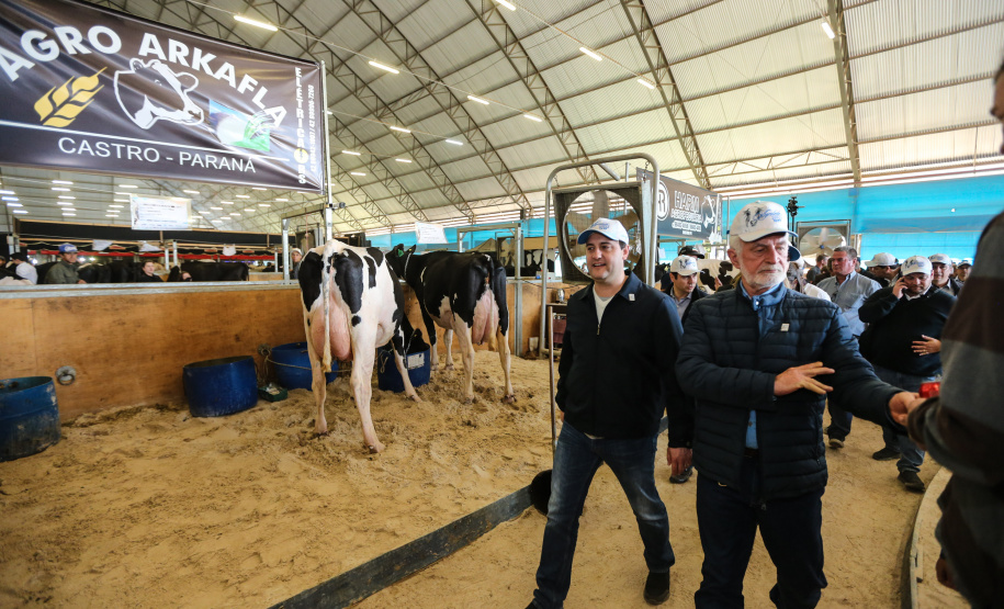 O governador Carlos Massa Ratinho Junior visita nesta quinta-feira (15), a Agroleite, realizado pela Cooperativa Castrolanda, em Castro, nos Campos Gerais. Considerado um dos maiores eventos da cadeia do leite na América, a Agroleite tem foco na tecnologia, produtividade e melhores resultados para os produtores. Castro, 15/08/2019 -  Foto: Geraldo Bubniak/AEN