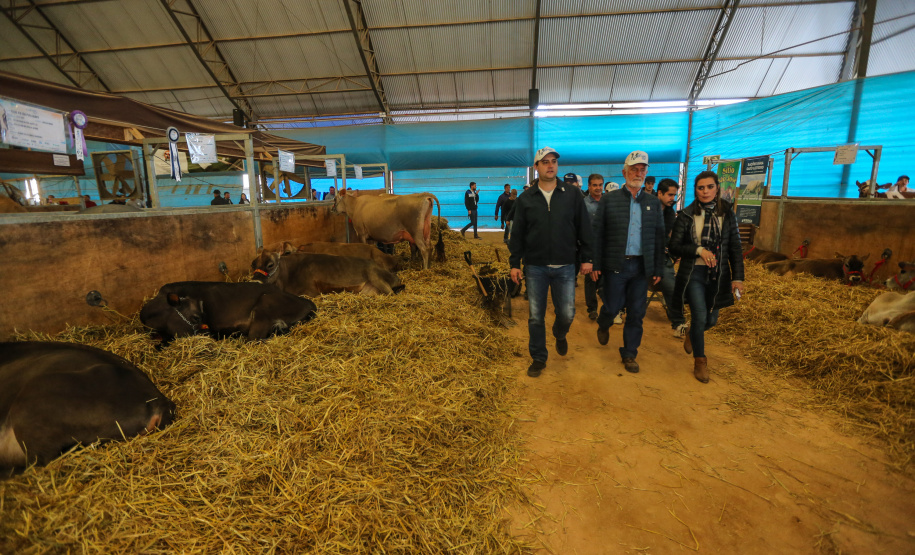 O governador Carlos Massa Ratinho Junior visita nesta quinta-feira (15), a Agroleite, realizado pela Cooperativa Castrolanda, em Castro, nos Campos Gerais. Considerado um dos maiores eventos da cadeia do leite na América, a Agroleite tem foco na tecnologia, produtividade e melhores resultados para os produtores. Castro, 15/08/2019 -  Foto: Geraldo Bubniak/AEN