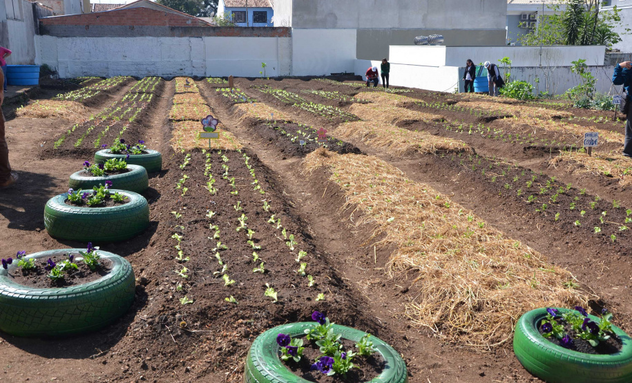 O trabalho de revitalização da Horta Comunitária Visitação, no Bairro Boqueirão, em Curitiba, foi inaugurado nesta sexta-feira (16)