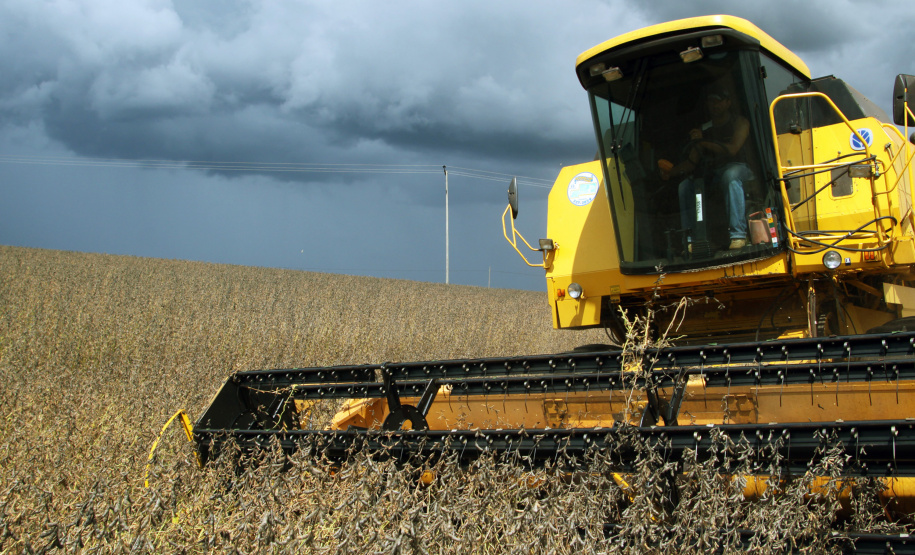 Paraná prevê 23,3 milhões de toneladas na safra de verão 2019/2020.